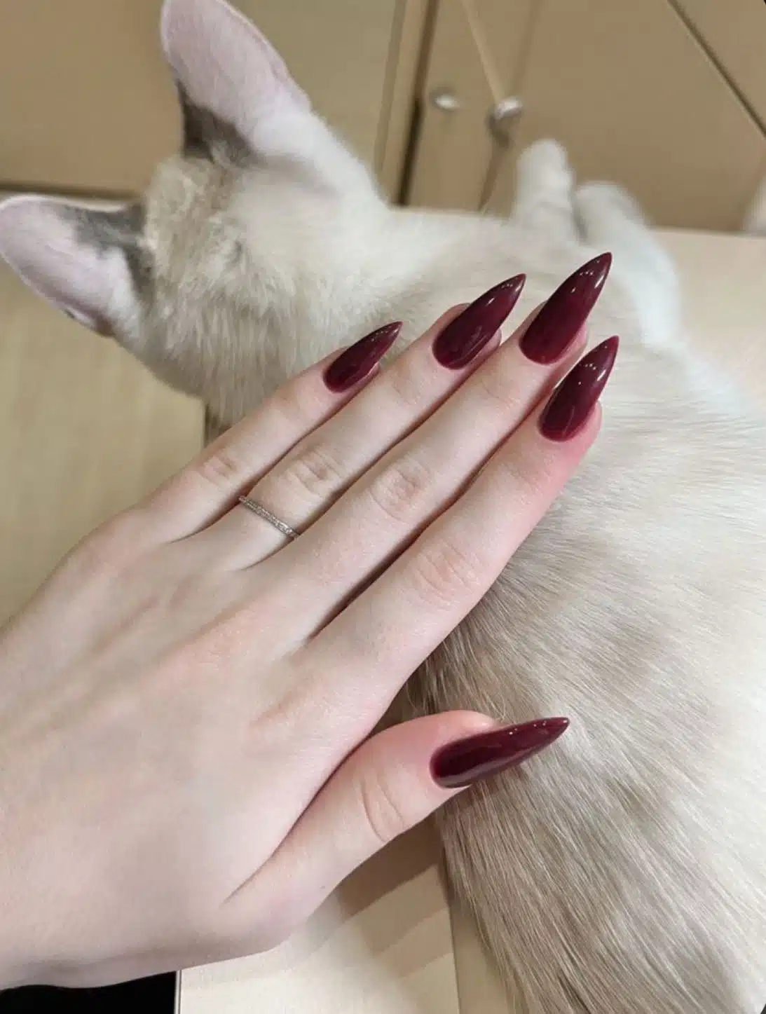 Unhas pontiagudas pintadas de vermelho